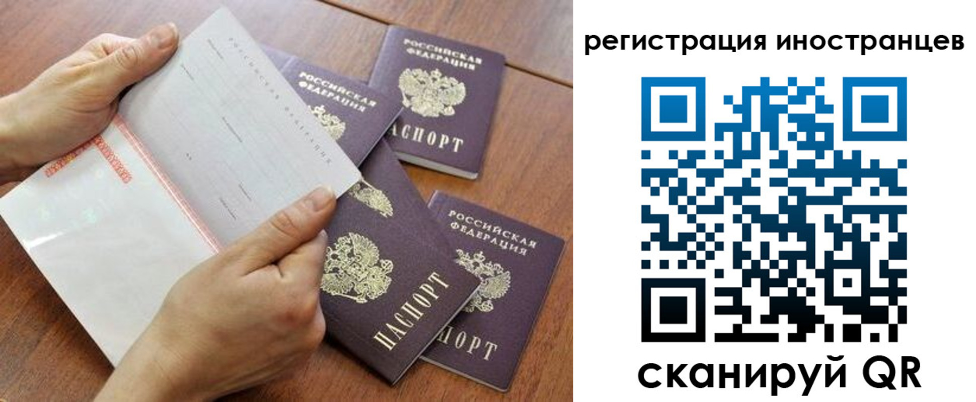 прописка поиск в Боровичах